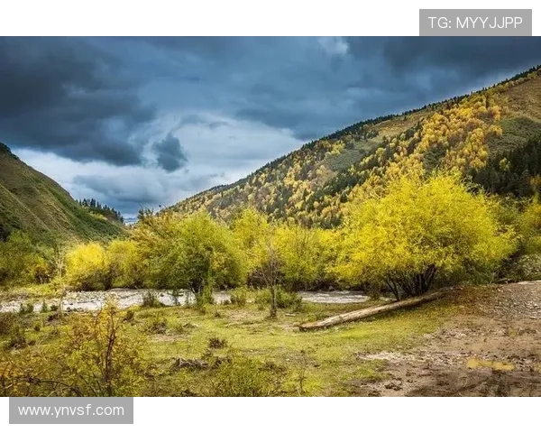 非洲雄狮崛起象征大地力量与生态复兴的壮丽篇章 - 副本 - 副本 - 副本