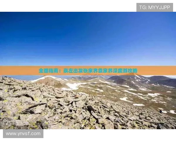 NBA赛事资讯网站全面指南助你掌握最新动态与深度分析